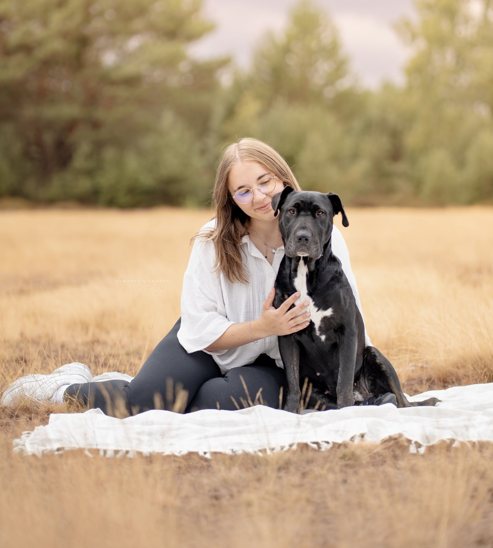 Hundefotografie Shooting von Franzi – Pawfect Moments